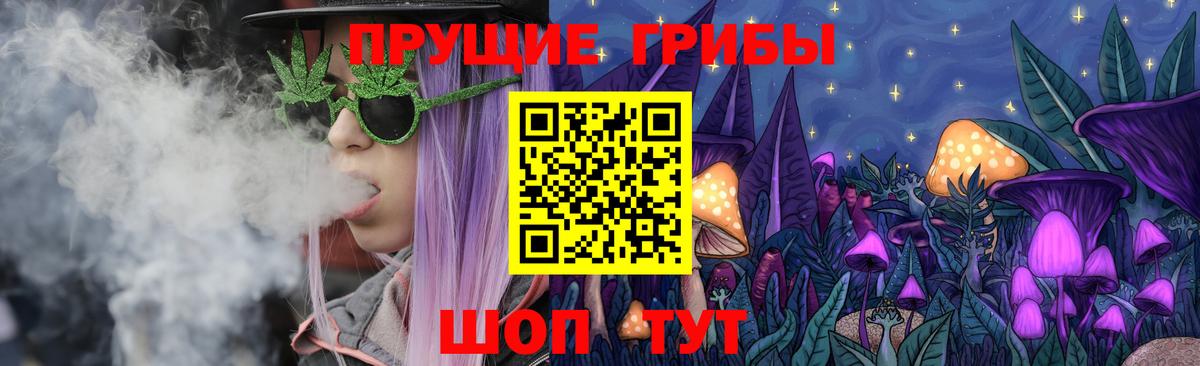 Сертолово  Псилоцибиновые грибы ЛСД  Вход с VPN 